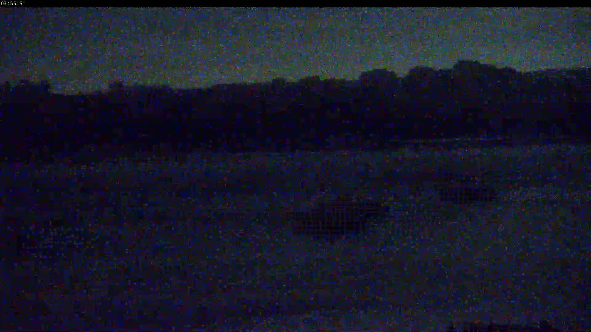 A dark, nighttime image shows a flat, dark expanse of land in front of a silhouetted treeline under a mostly clear, dark sky.