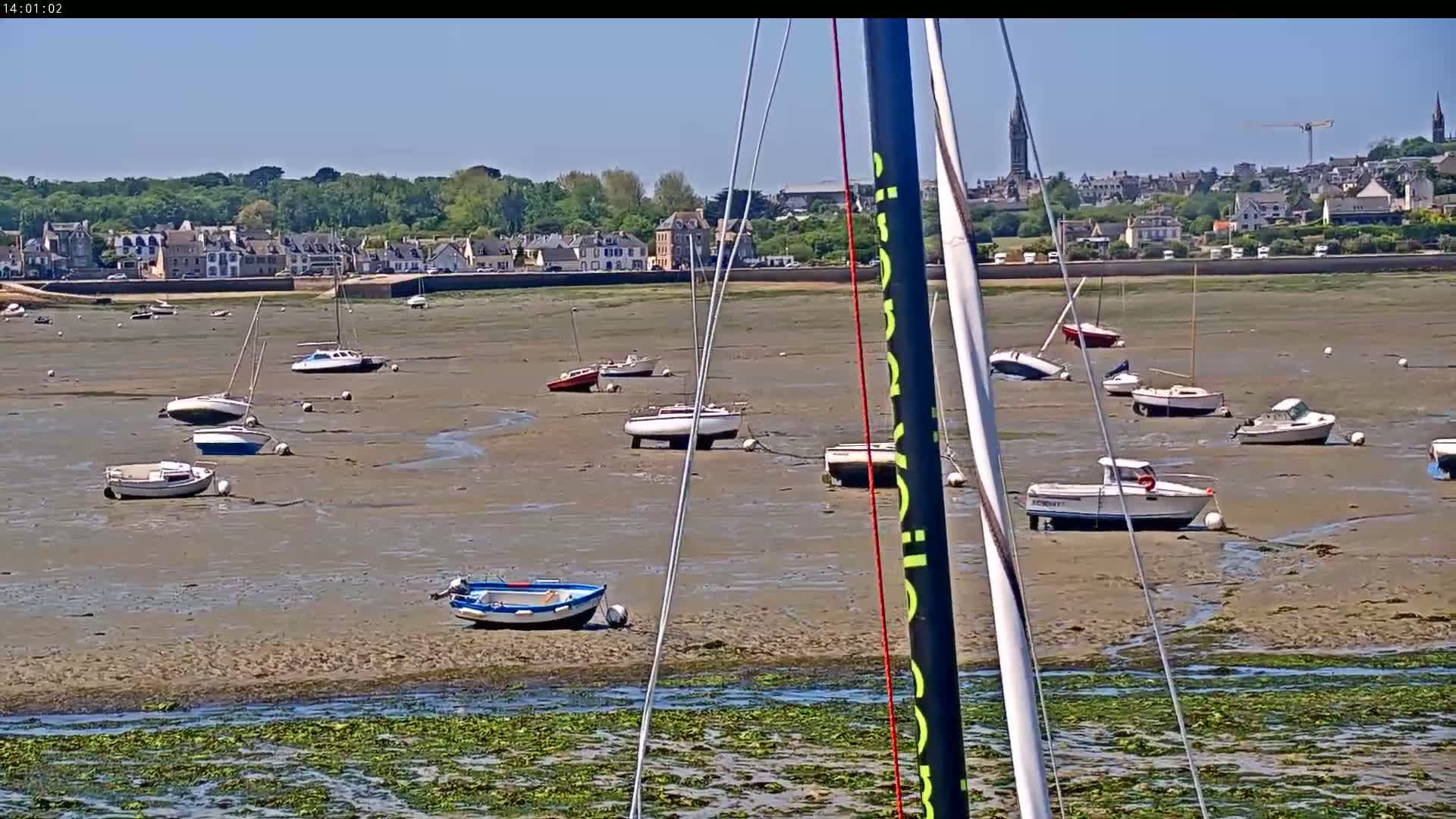 Many small sailboats and motorboats sit on a mudflat at low tide in front of a town on a sunny day.