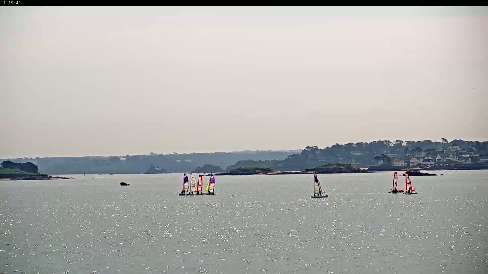 Several small sailboats are on a calm, gray body of water with a hazy sky and distant tree-lined shore.