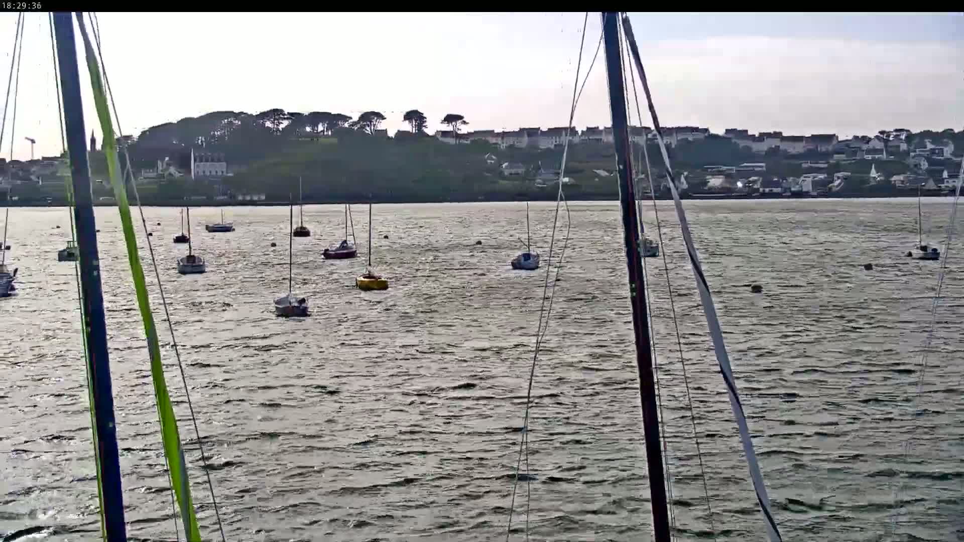 Numerous sailboats are moored in a calm body of water, with a distant shoreline visible under a cloudy sky.