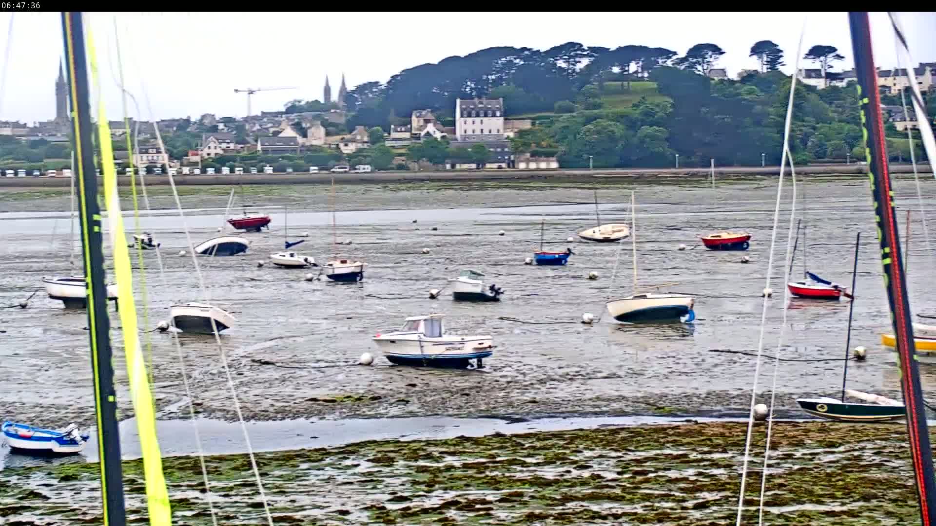 Numerous small sailboats and motorboats are grounded on a mudflat at low tide, with a town and green hills visible in the background under an overcast sky.