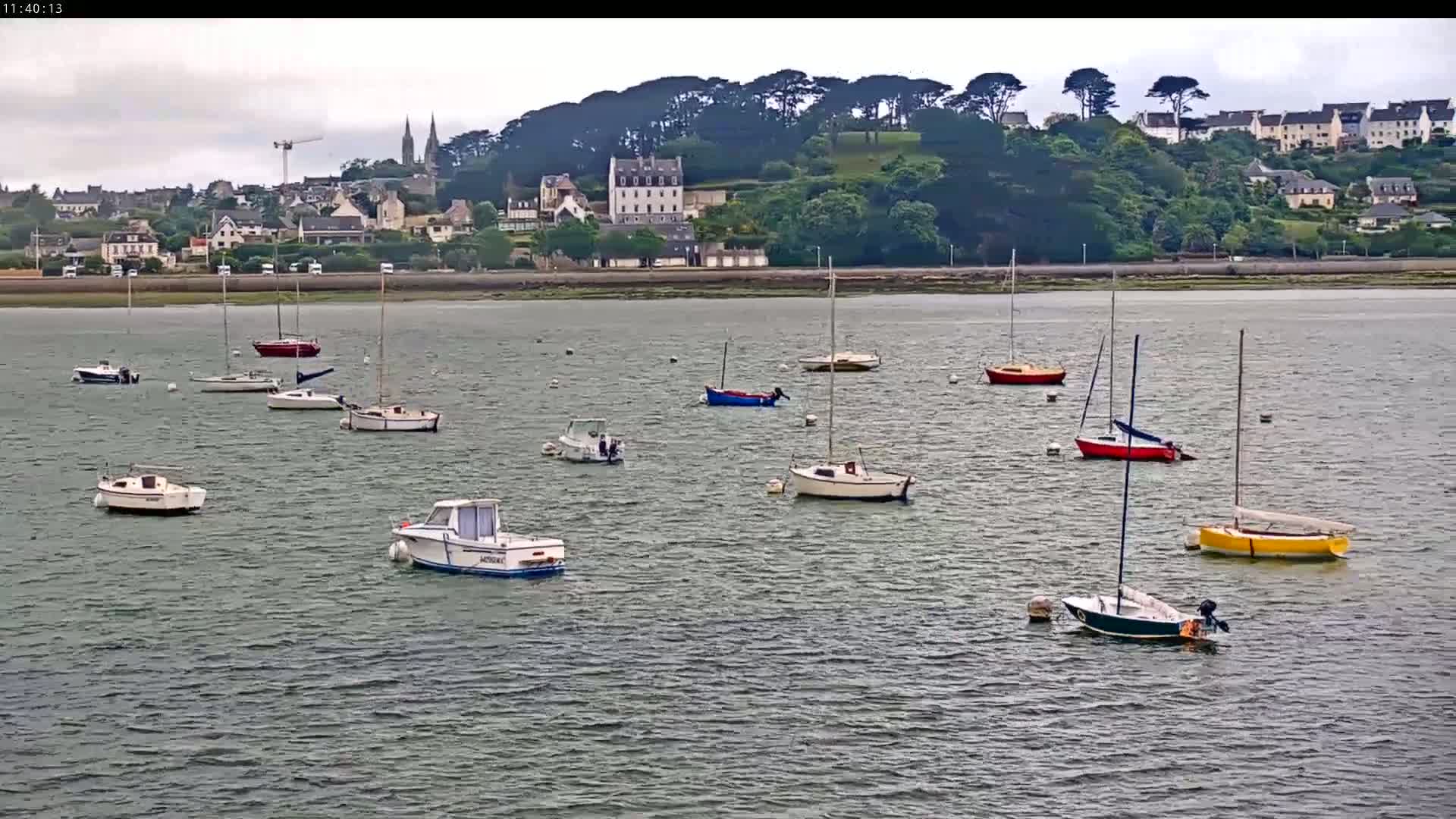 Numerous sailboats and motorboats are moored in calm, gray water in front of a town nestled against a verdant hill under an overcast sky.