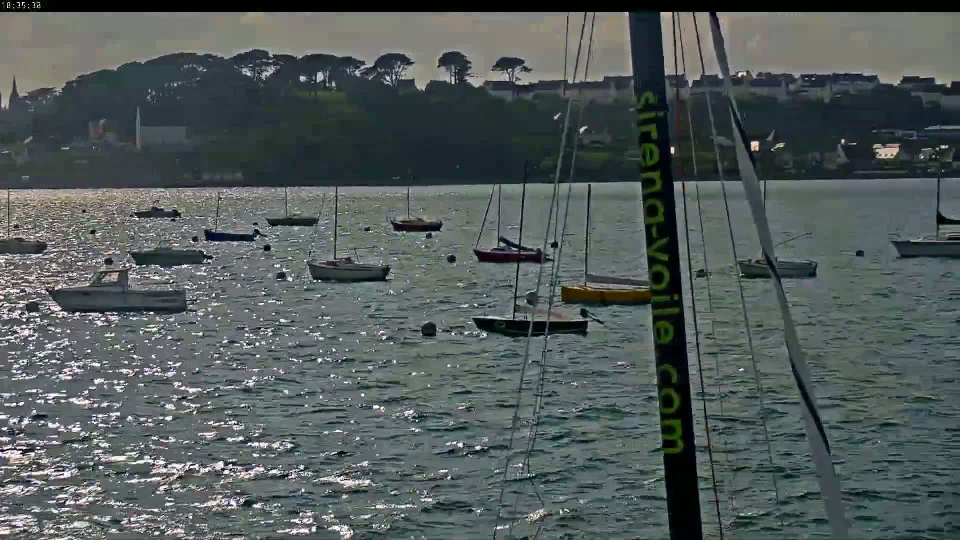 Many sailboats and motorboats are moored in a calm body of water in front of a tree-lined shore with buildings visible in the distance.