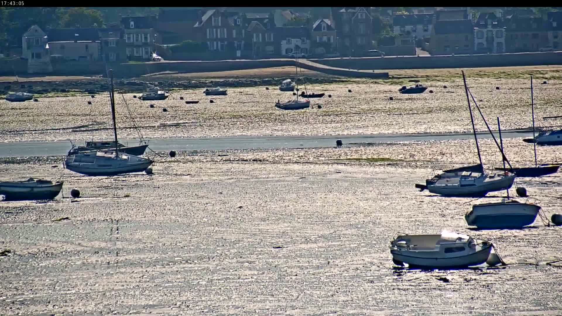 Many sailboats and small motorboats are grounded on a wide, sunlit, sandy expanse of shallow water, with a row of buildings visible in the background under a clear sky.