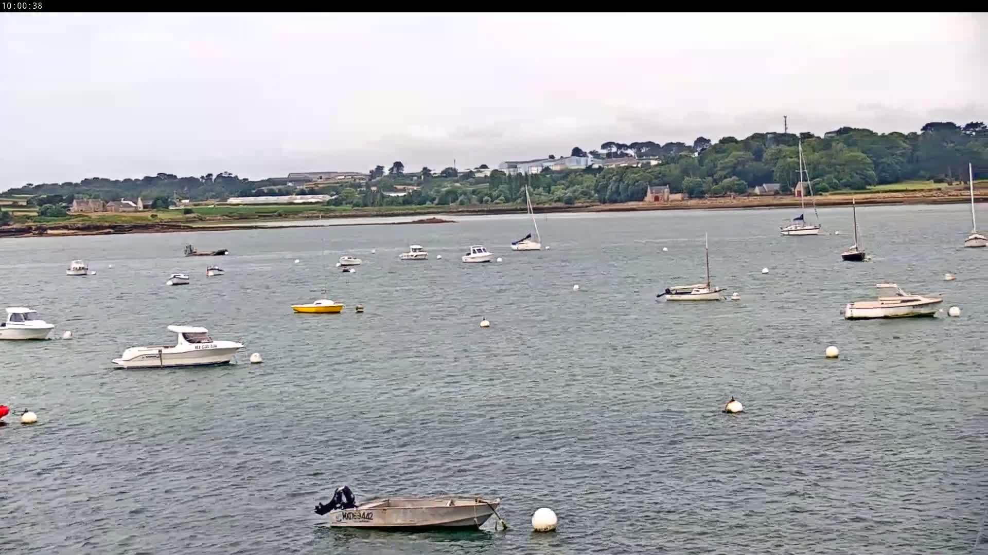 Numerous motorboats and sailboats are anchored in calm, gray water, with a verdant shoreline and overcast sky in the background.