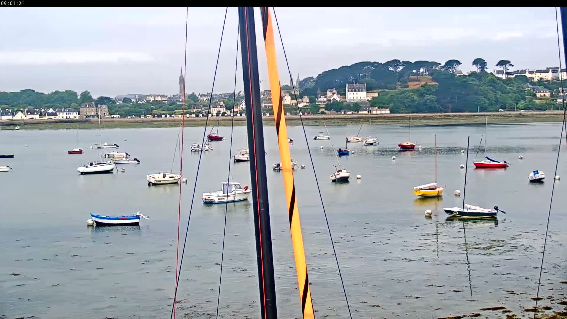 Many small sailboats and motorboats are moored in calm, gray water in front of a town nestled beside a verdant hillside.
