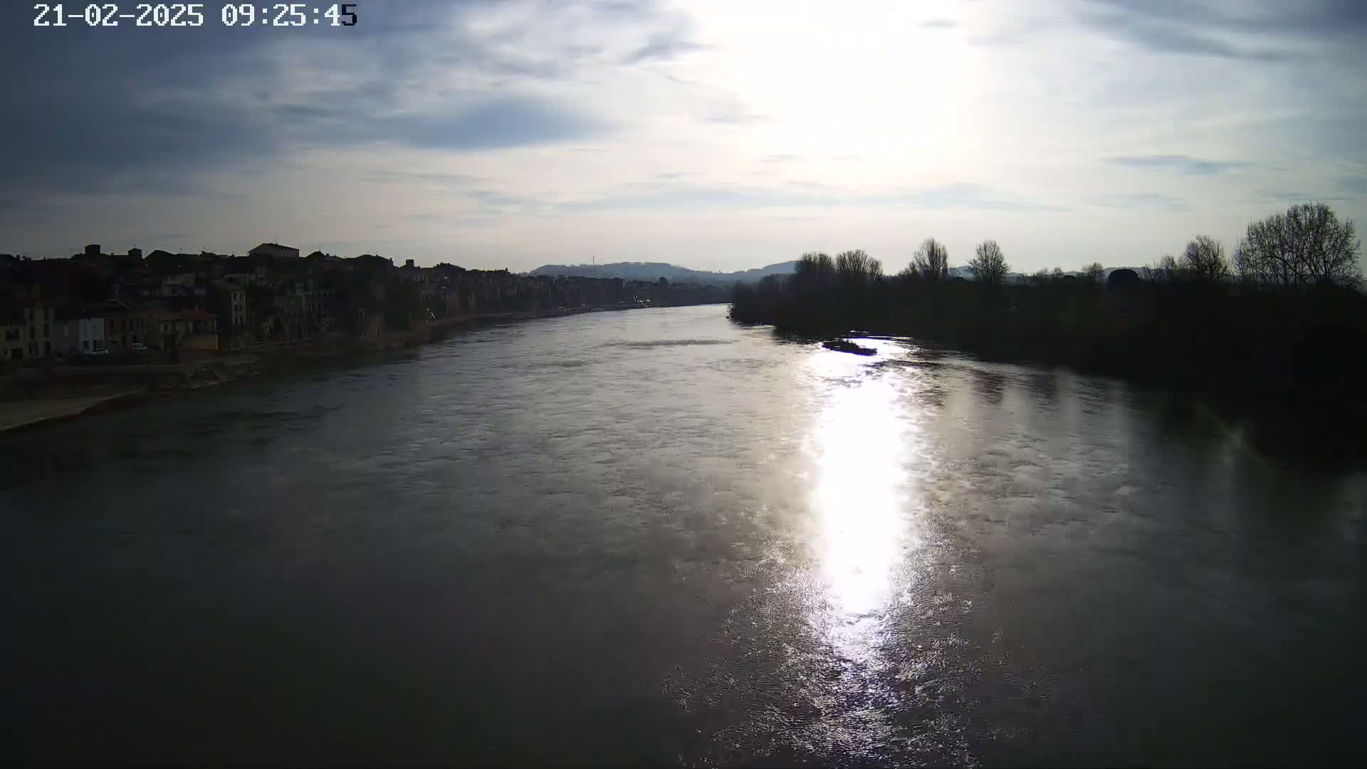 A wide, sunlit river flows past a town and a line of bare trees under a partly cloudy sky.