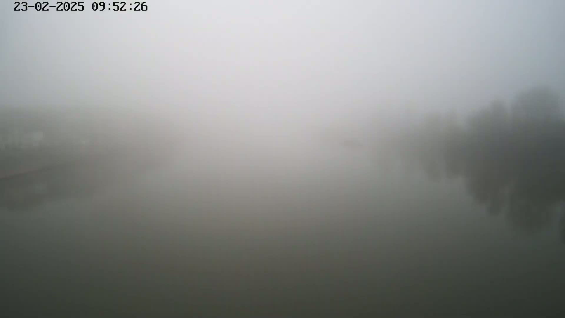 A thick fog obscures the view of a body of water and indistinct shoreline trees.