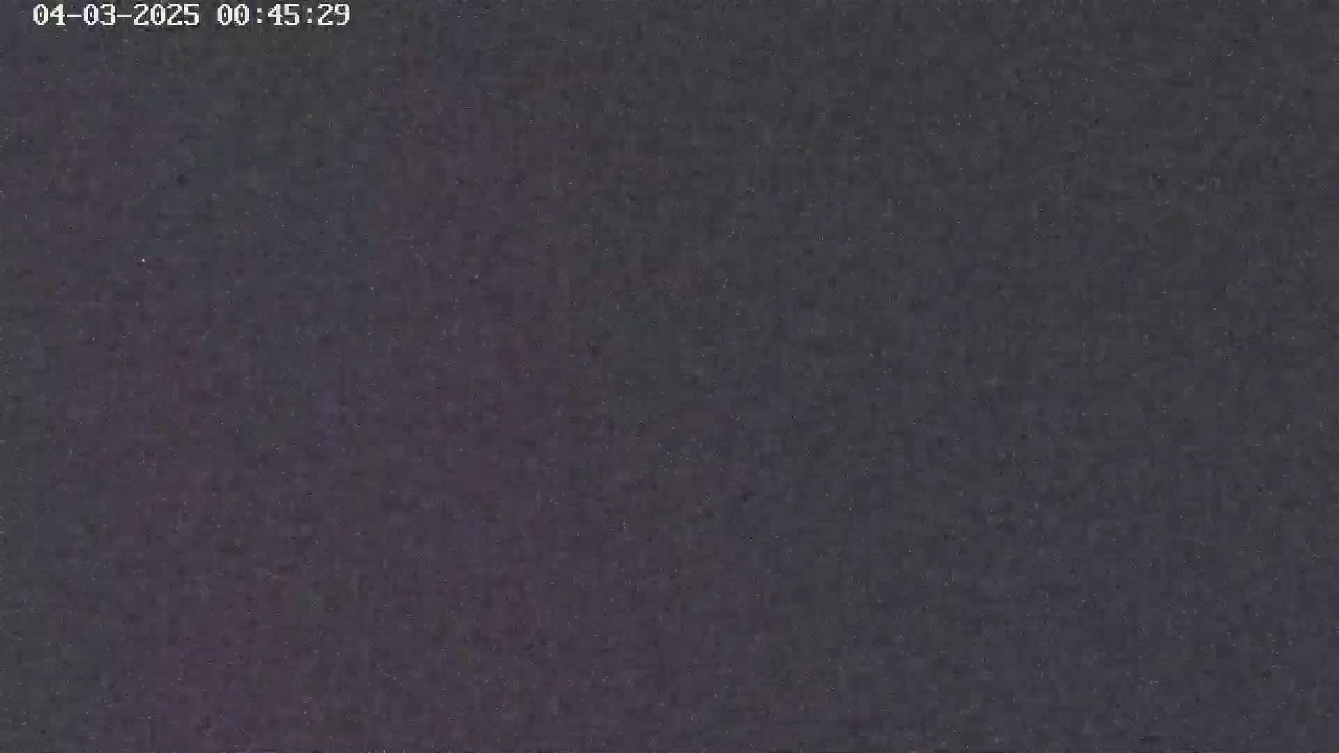 A dark, grainy image shows a mostly uniform, dark-grey-purple surface.