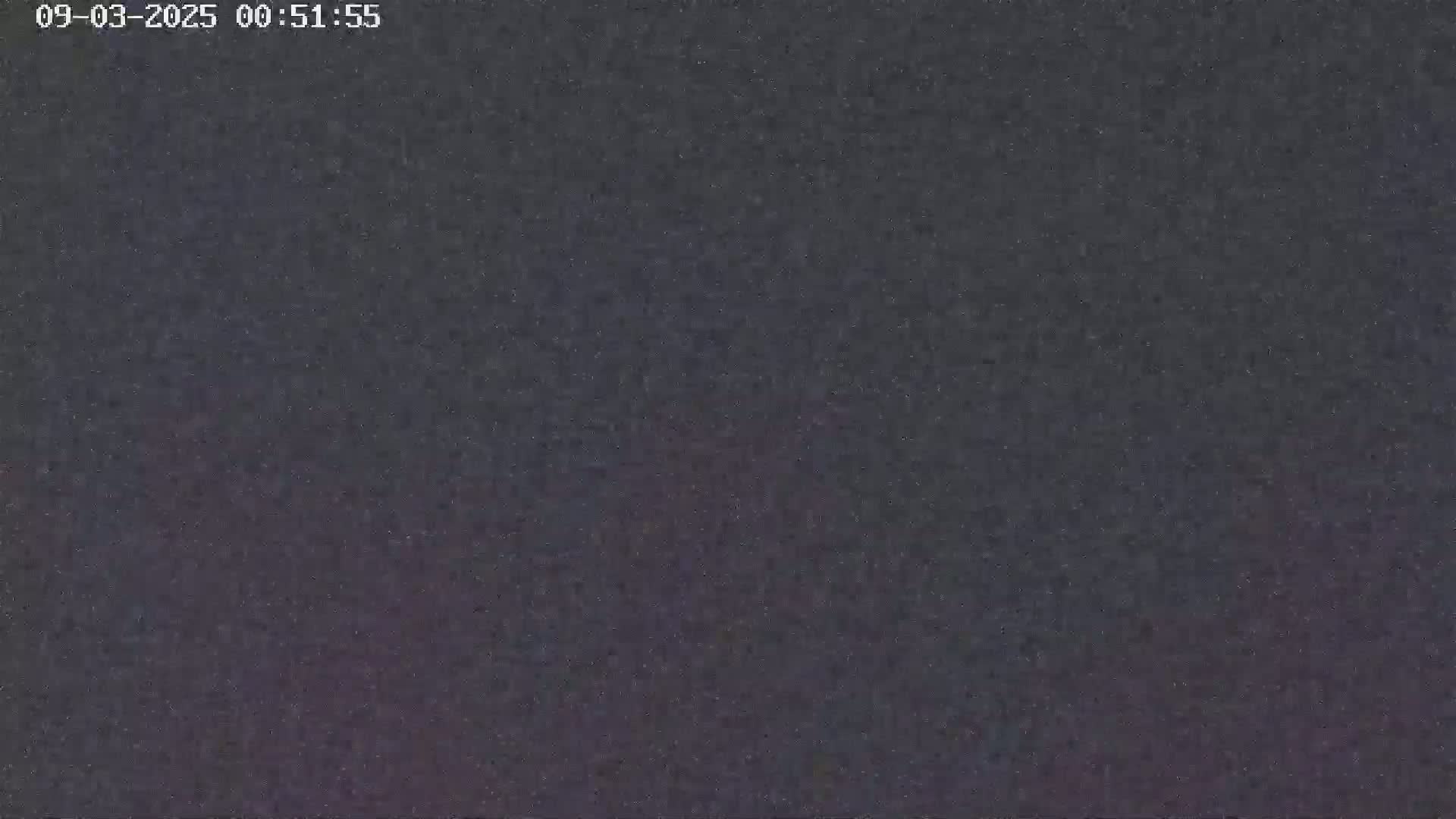 The image shows a dark, grainy, mostly uniform surface.