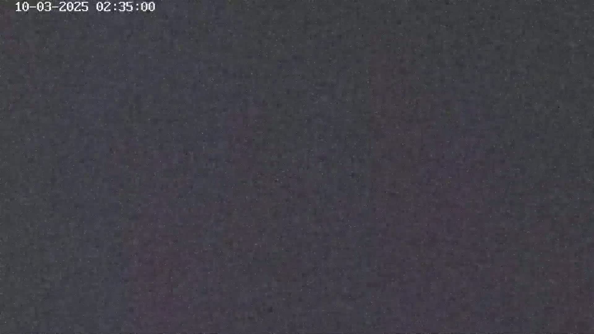 The image shows a dark, grainy surface, possibly asphalt or a similar material, at night.