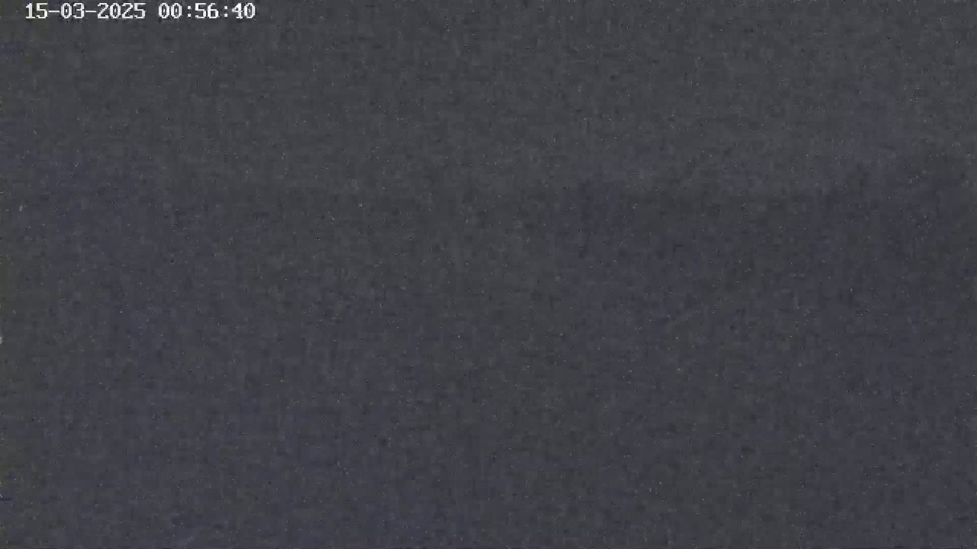 A dark gray, grainy surface fills the entire image.