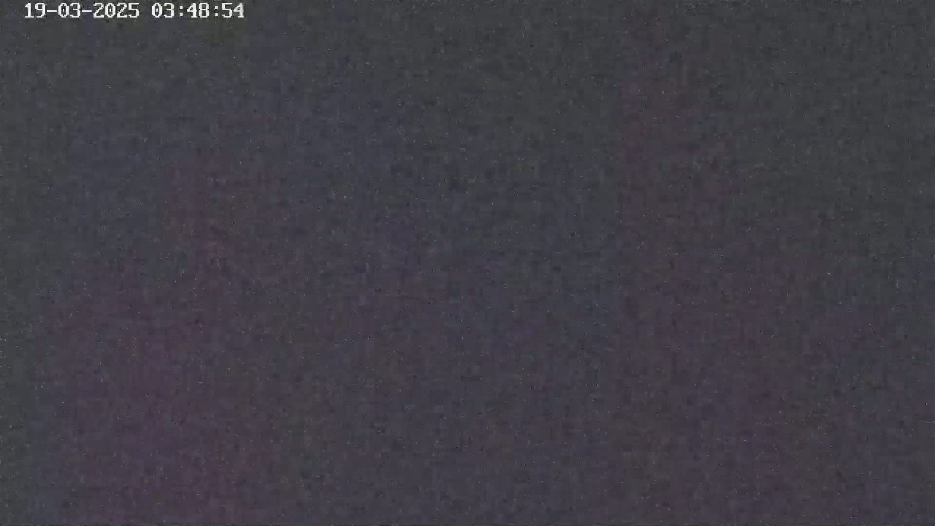 A dark, grainy image shows a mostly uniform dark gray-purple color.