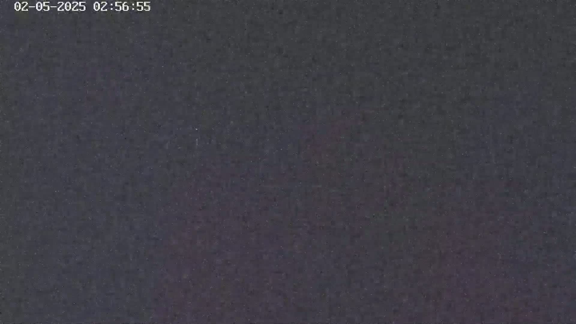 The image shows a dark, grainy, mostly uniform surface at night.