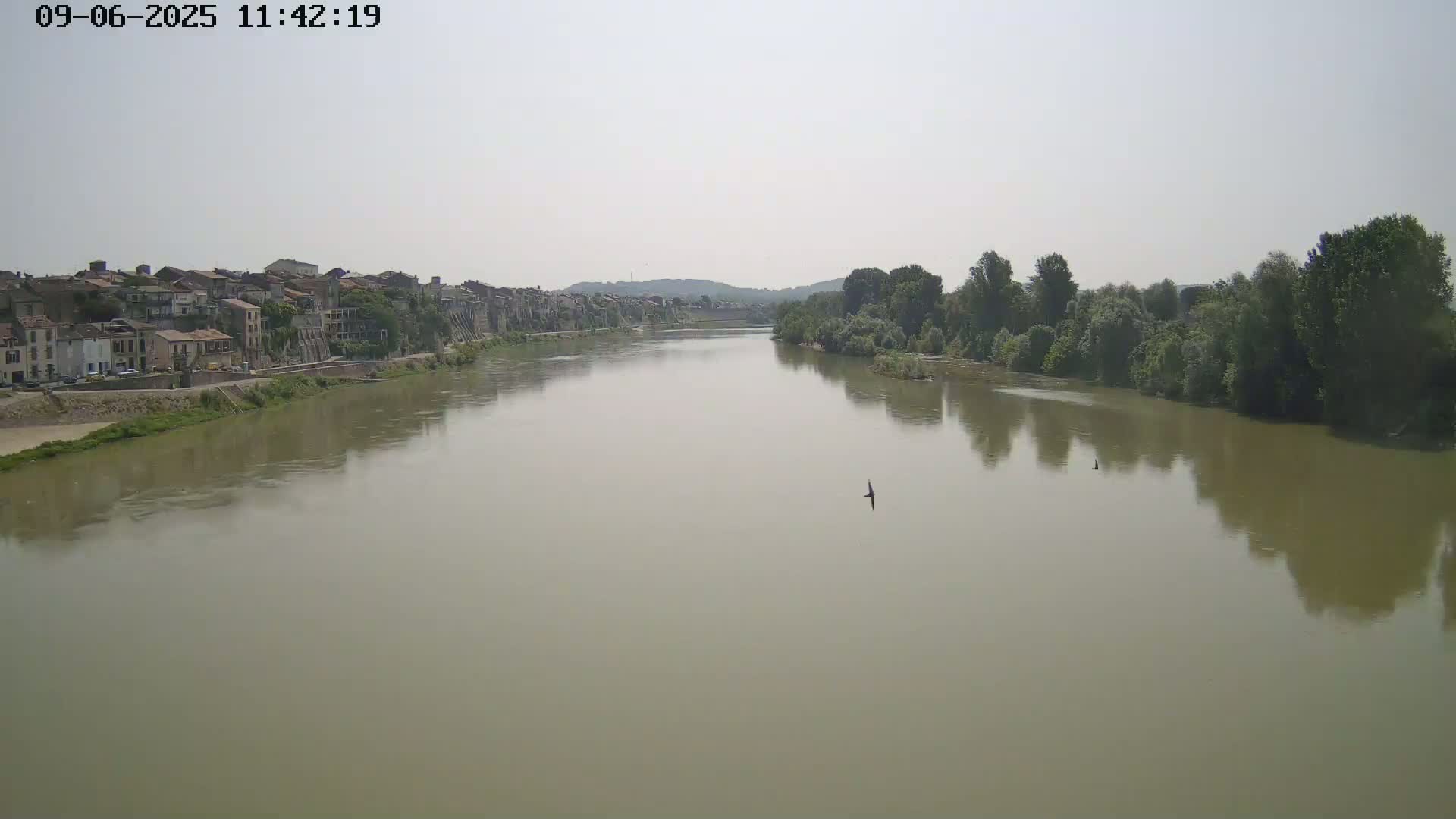 A wide, muddy river flows past a town on a hazy day, with green trees lining the opposite bank.