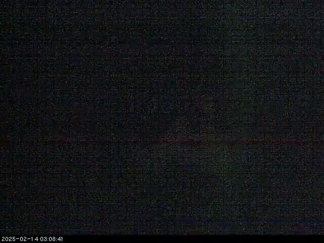A completely black image with slight grain.