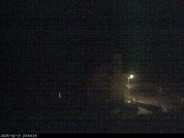 A dimly lit, nighttime scene shows a sparsely populated area with a single streetlight illuminating a portion of the ground.