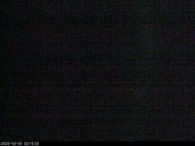 The image is an almost entirely black screen with subtle noise and grain throughout.