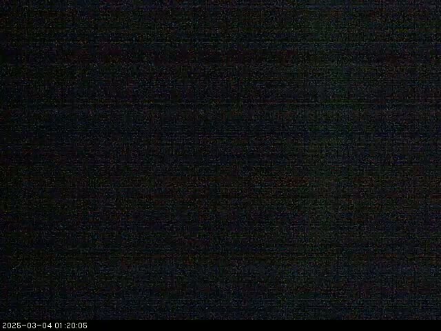 The image is entirely dark, showing only static noise.