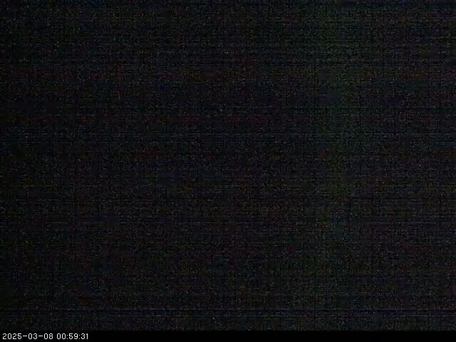 The image is a completely black screen with a subtle, textured grain.