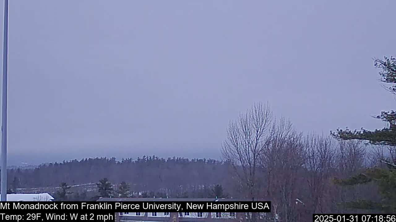 A hazy, distant view of a mountain range and bare winter trees under a light gray sky.