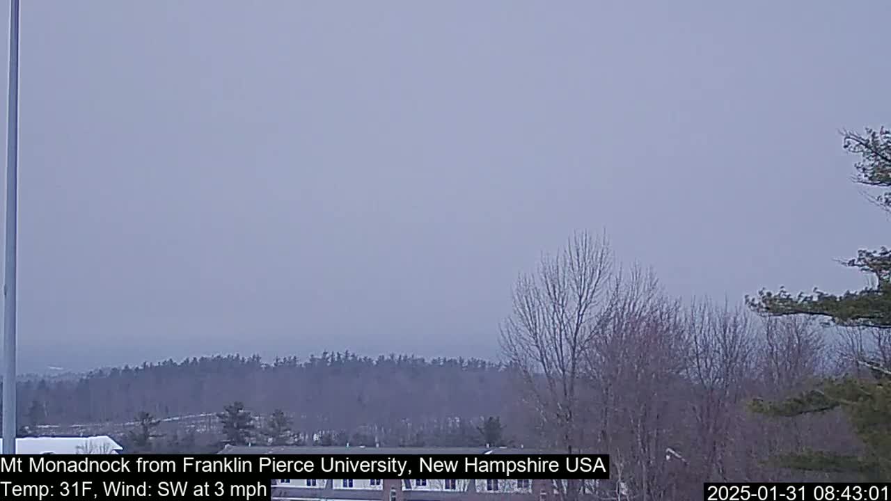 A hazy, overcast view of a distant mountain range and bare trees under a pale sky.
