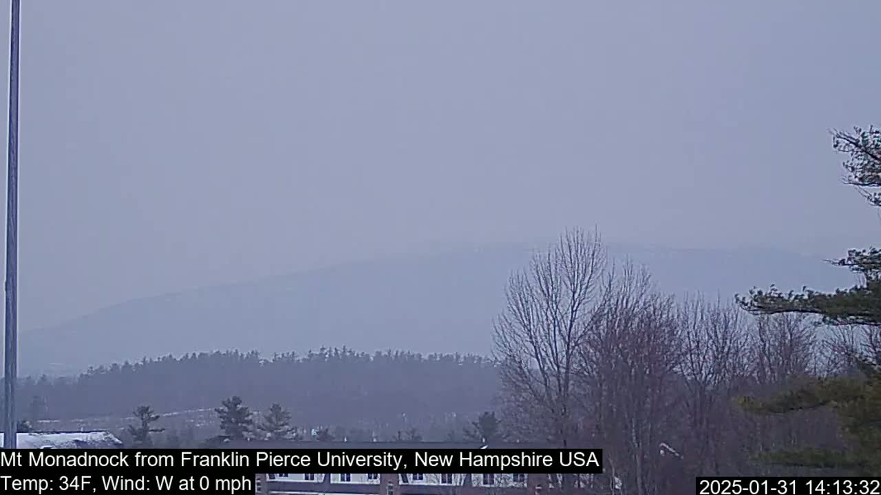 A hazy view shows a distant mountain range behind a line of bare winter trees and buildings under a light gray sky.