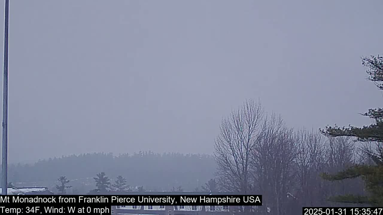 A hazy view of a distant mountain range and bare trees under a gray sky.