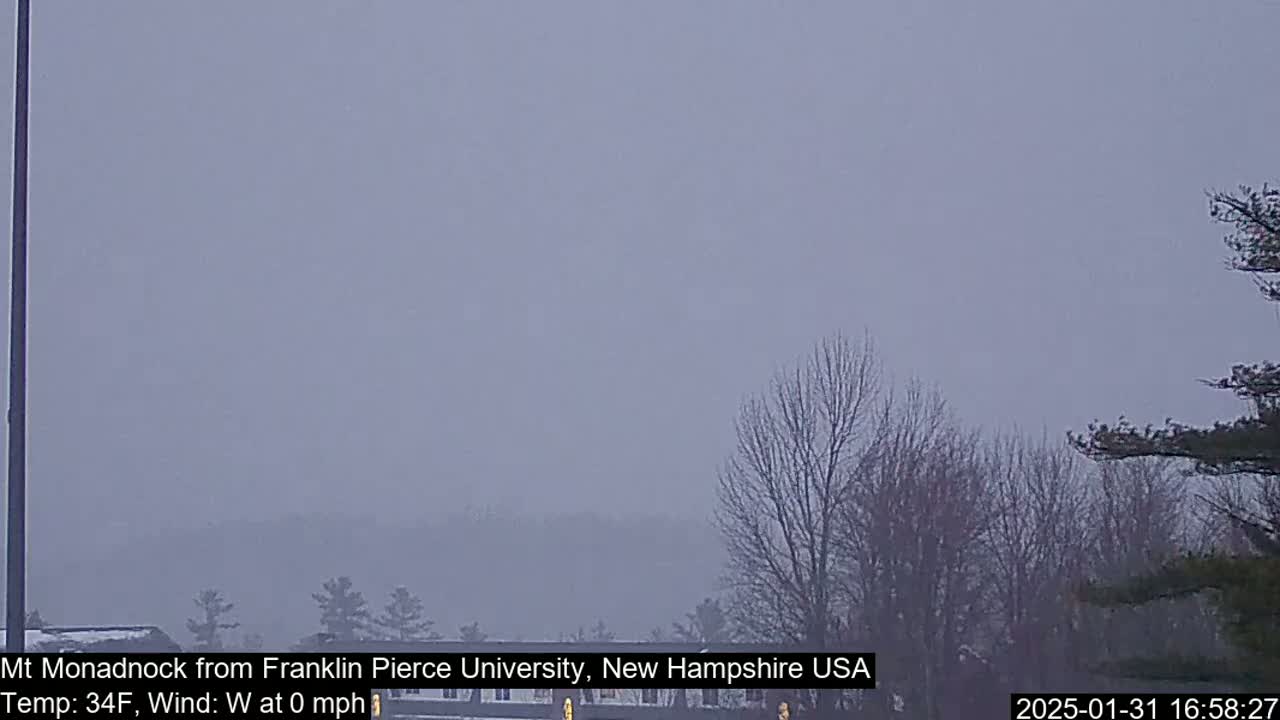 A hazy, gray view of a distant mountain range and bare winter trees under a cloudy sky.