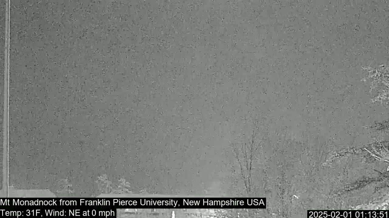 A nighttime, low-light image shows a view of bare trees and a dark sky under calm, cold conditions.