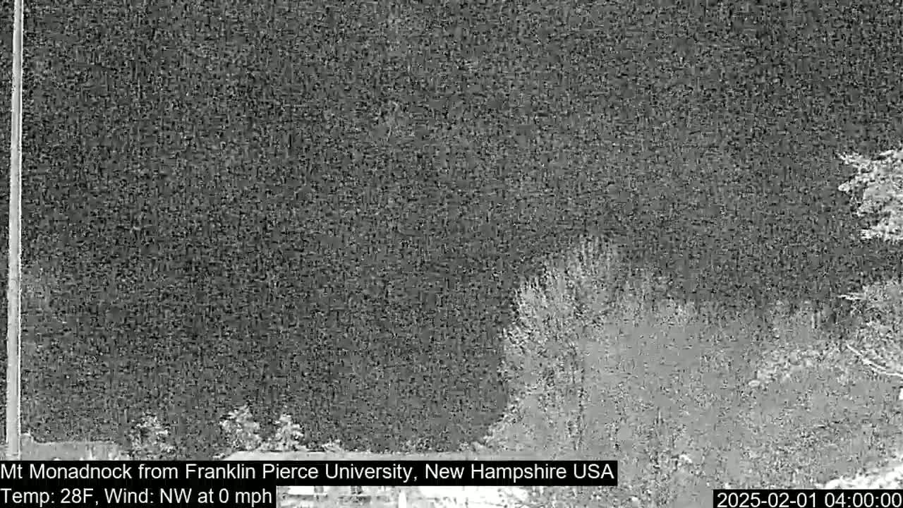 A nighttime, grayscale image shows a dark, mostly overcast sky and a line of dark trees or shrubs in the lower portion of the frame.