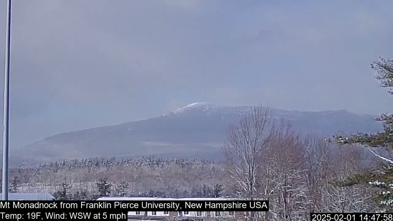 A snow-covered mountain is visible in the distance through a hazy, light-blue sky, with a foreground of bare, snow-dusted trees.