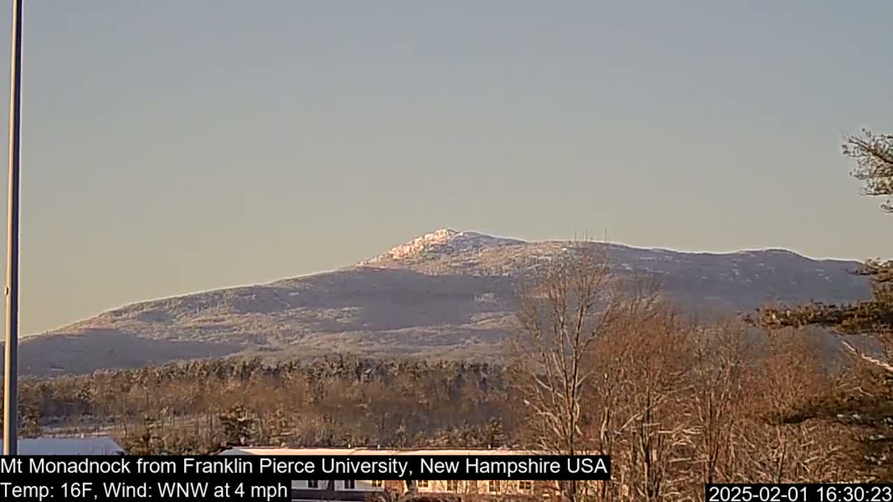 A snow-dusted mountain is visible in the distance under a clear, light-colored sky, with bare, winter trees in the foreground.