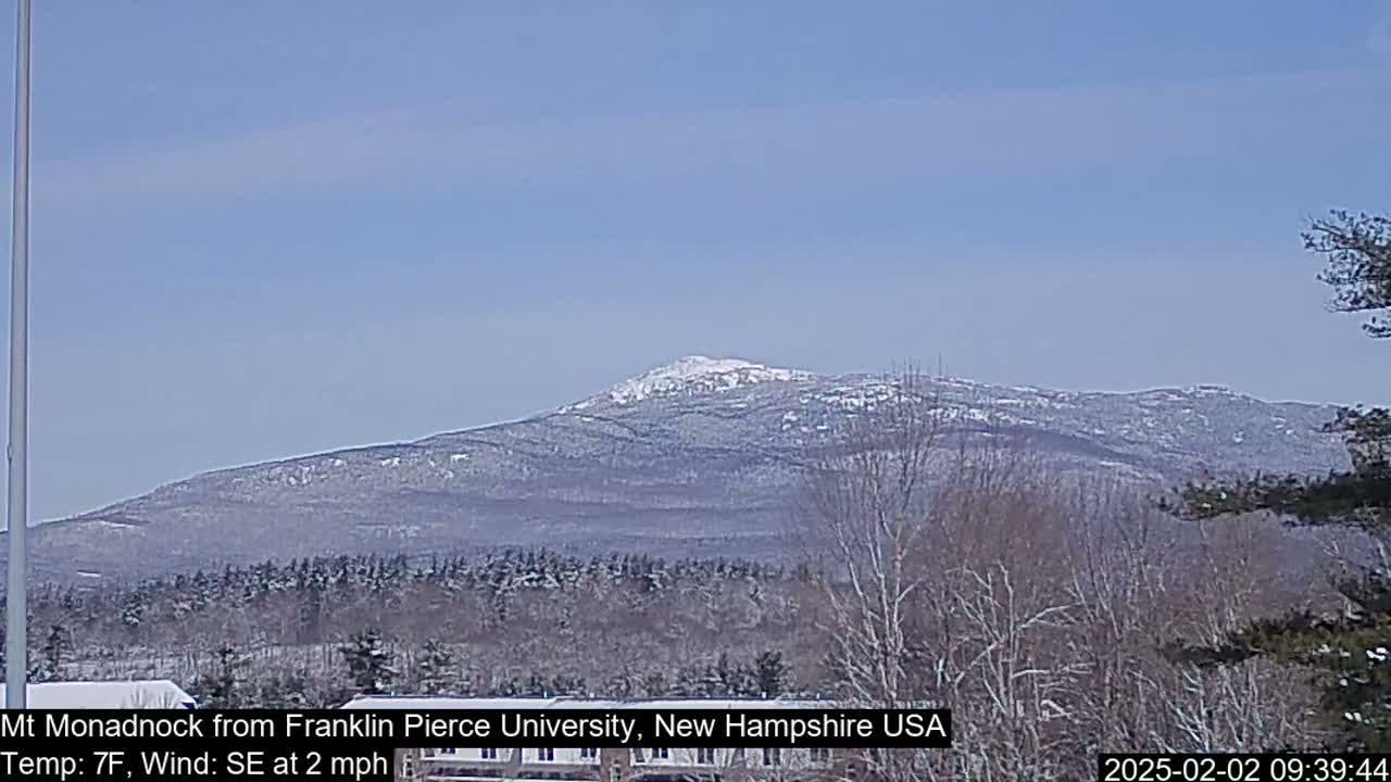 A snow-covered mountain is visible in the distance under a clear blue sky.