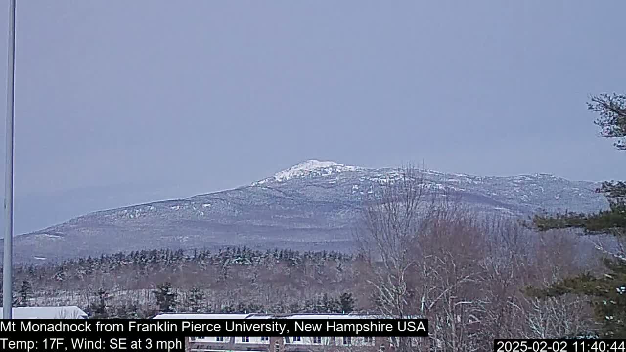 A snow-covered mountain is visible in the distance, under a hazy sky, with bare trees in the foreground.