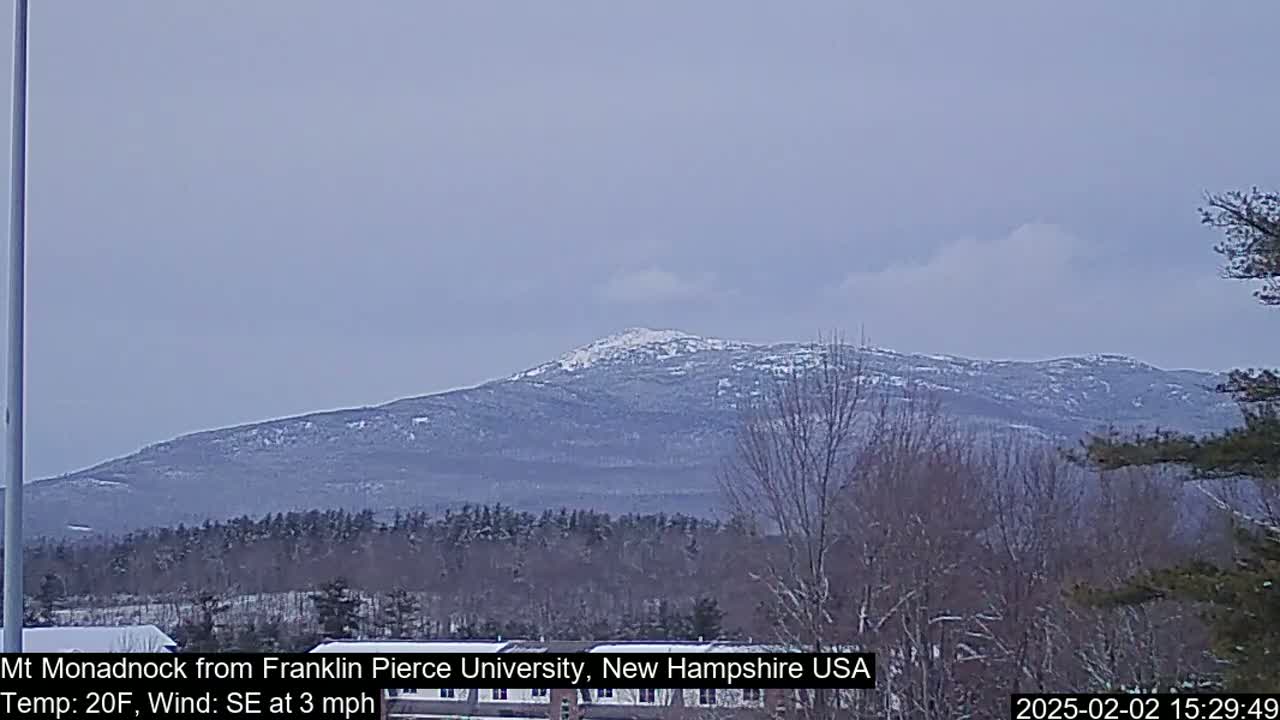 A snow-capped mountain is visible in the distance on an overcast day, with bare trees in the foreground.