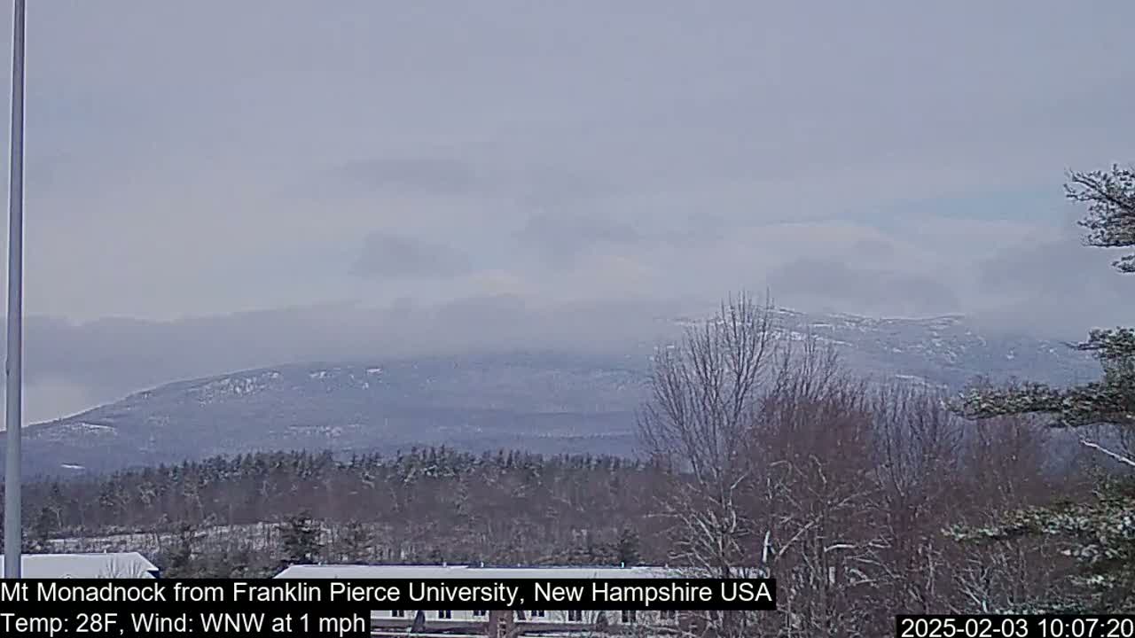 A snow-covered mountain range is visible in the distance under an overcast sky, with a layer of fog or haze obscuring the lower slopes.