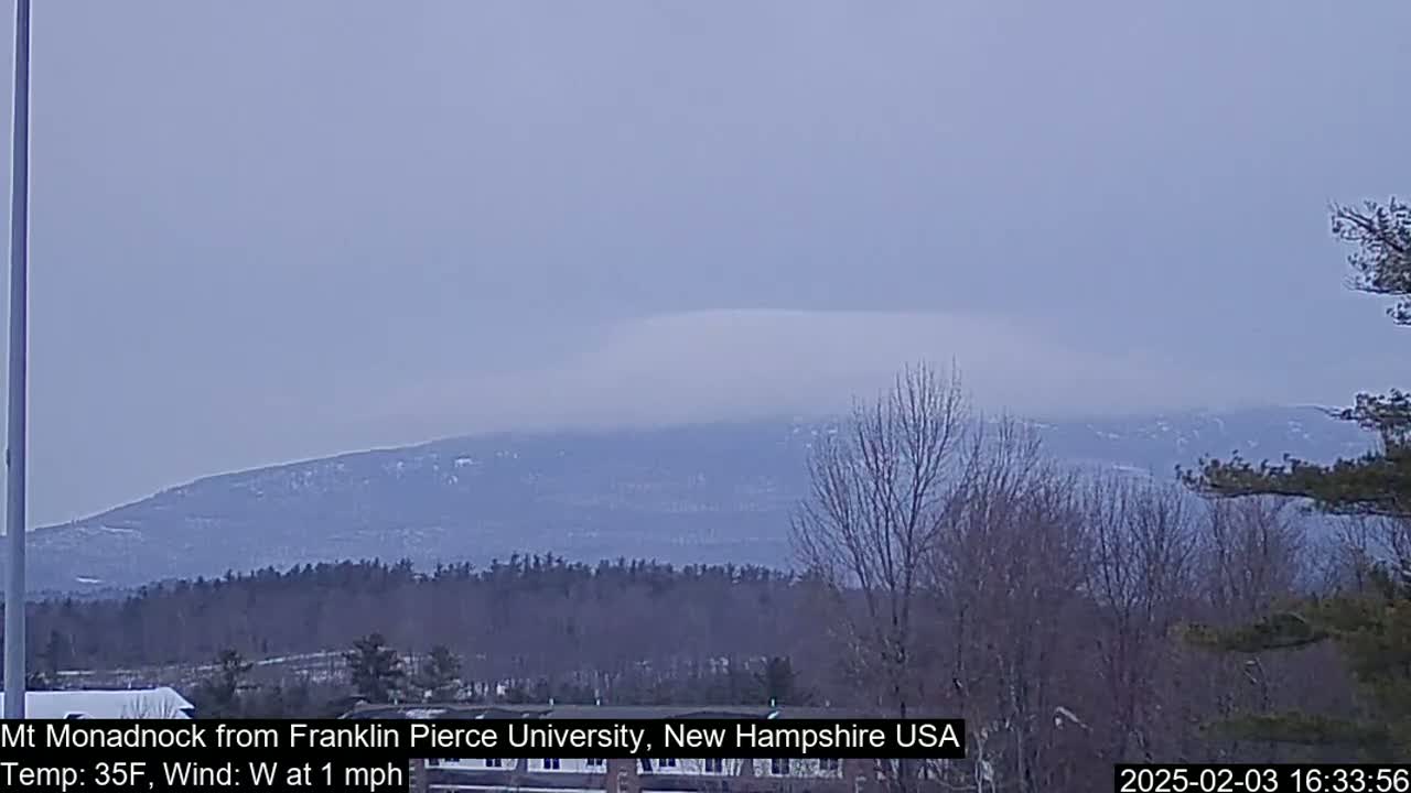 A distant, snow-dusted mountain is visible through a hazy, overcast sky above a line of bare winter trees.