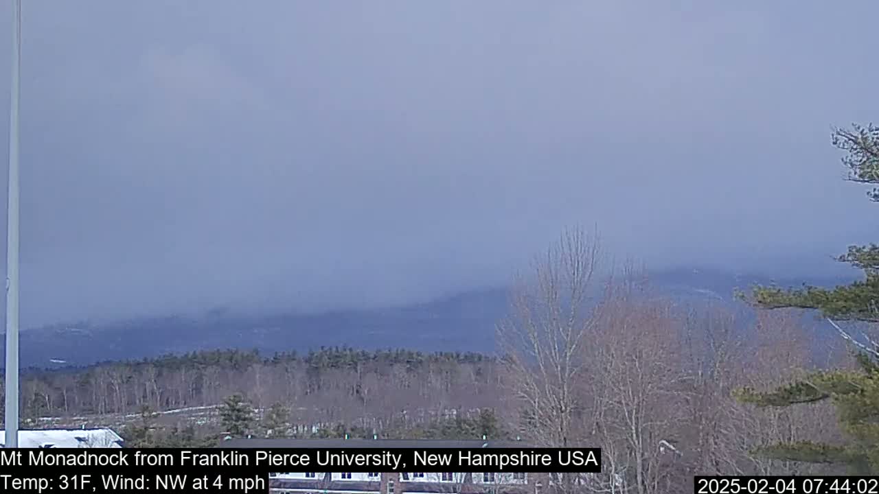 A hazy, overcast view of a mountain range in the distance, with bare trees and some snow in the foreground.