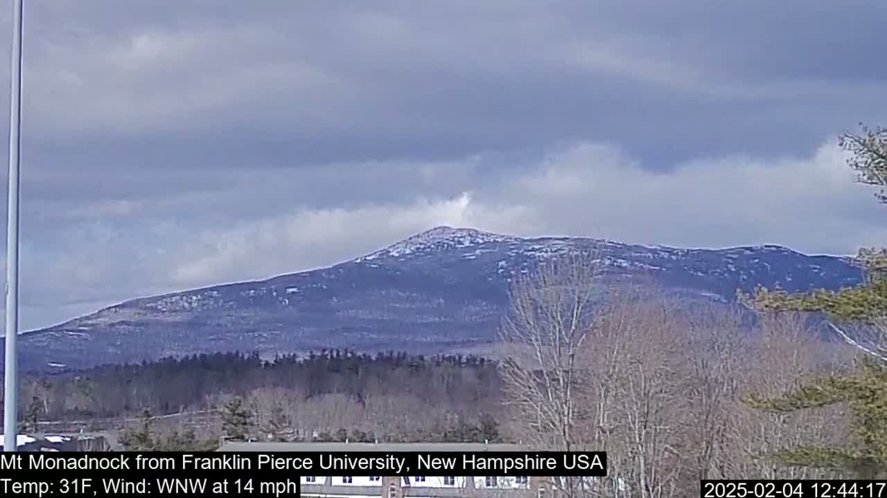 A snow-dusted mountain is visible under a cloudy sky, with leafless trees in the foreground.