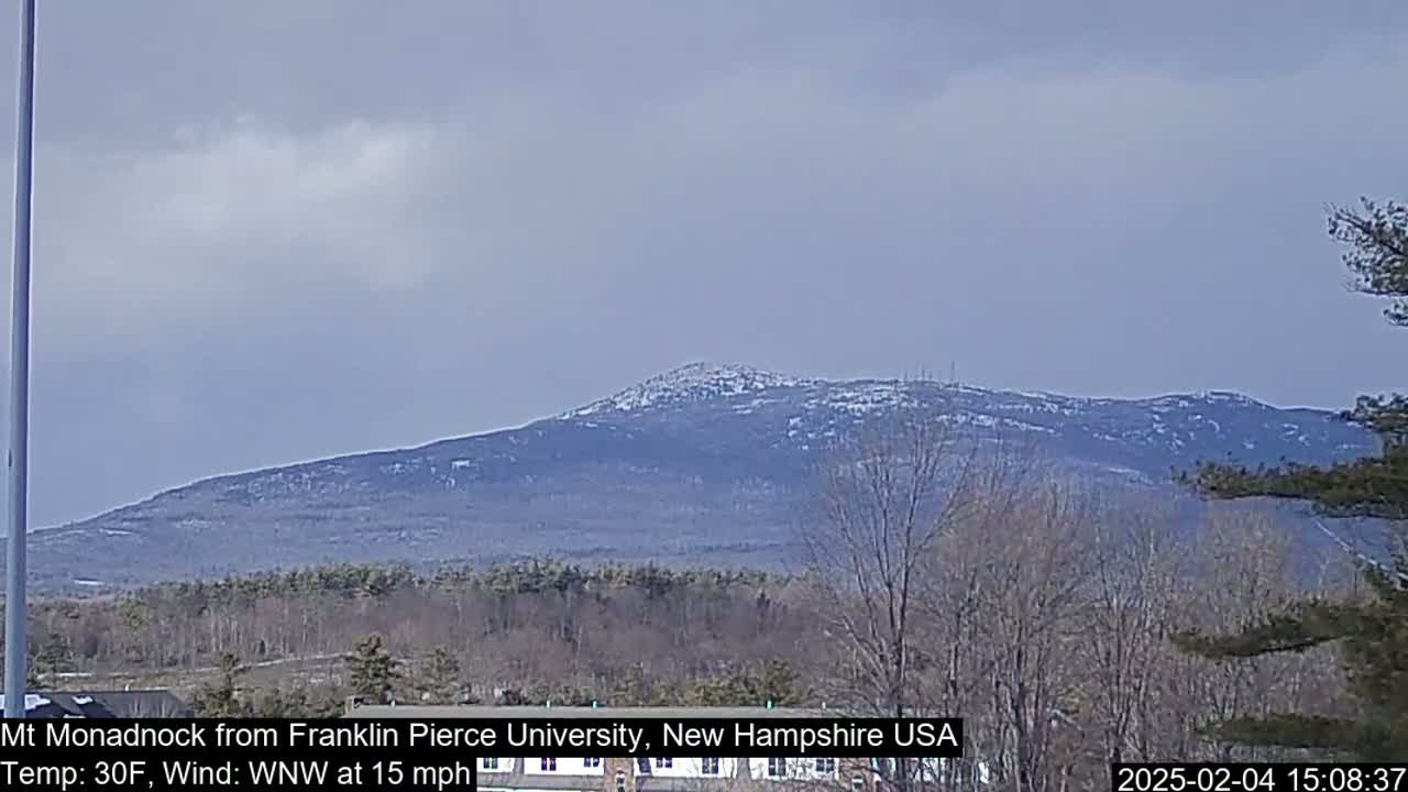 A snow-dusted mountain is visible in the distance under a cloudy sky, with bare trees and a flat landscape in the foreground.