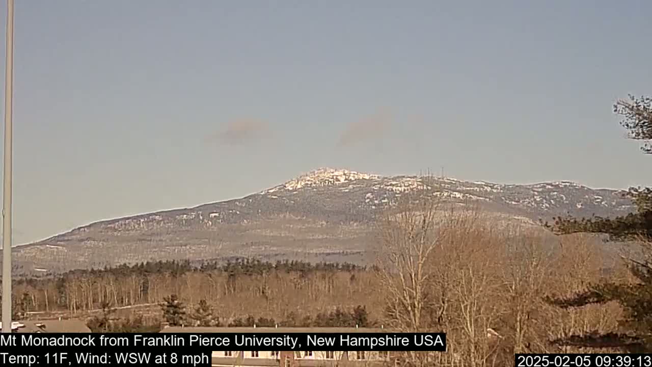 A snow-dusted mountain is visible in the distance, under a clear, pale blue sky, with bare, winter trees in the foreground.