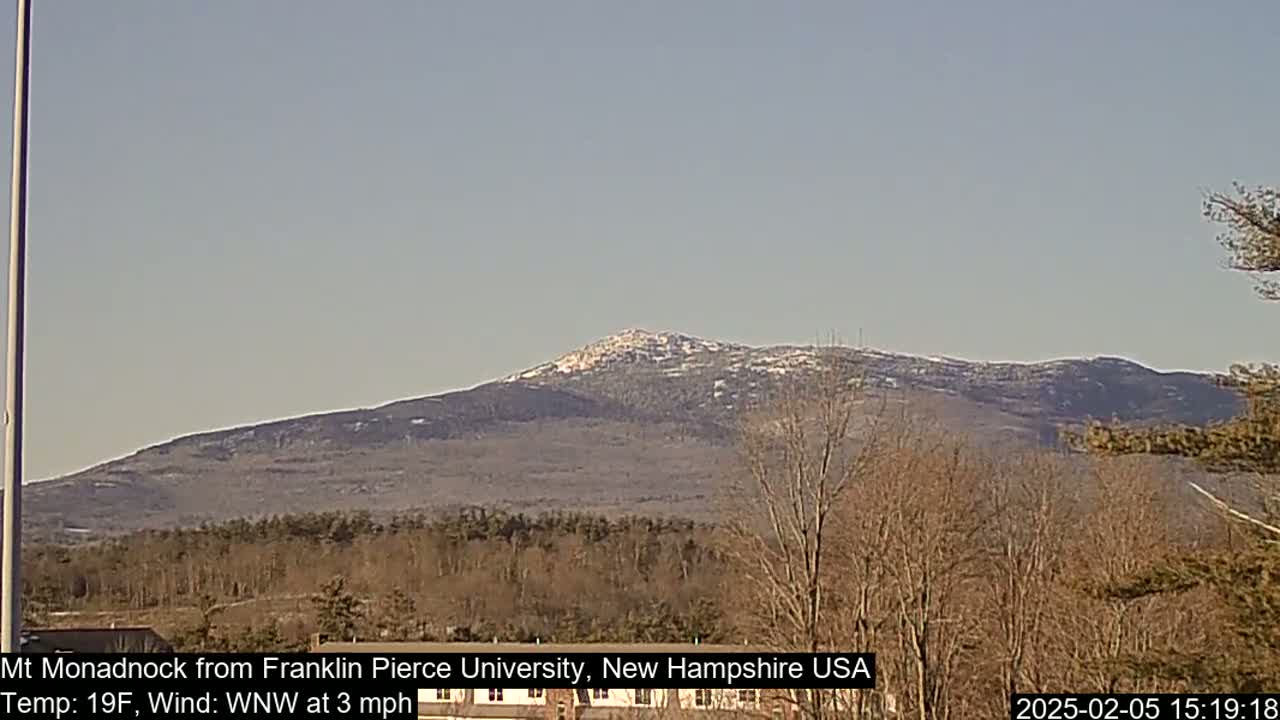 A snow-dusted mountain is visible in the distance under a clear, light-blue sky, with bare trees and a flat landscape in the foreground.
