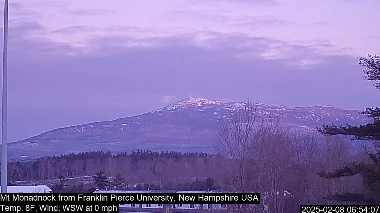 A snow-capped mountain is visible in the distance under a pale purple sky, with bare trees and calm weather in the foreground.