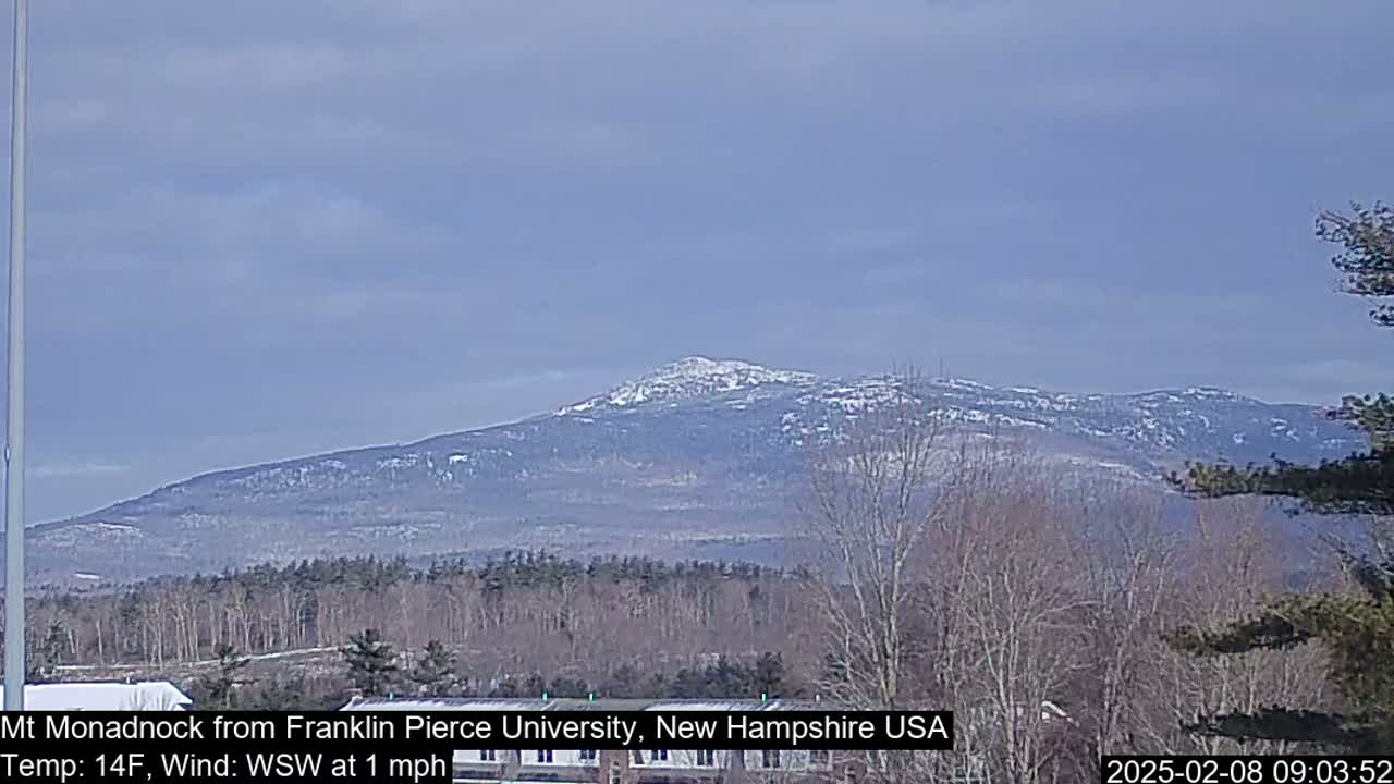 A snow-dusted mountain range is visible in the distance under a mostly clear sky, with bare trees in the foreground.