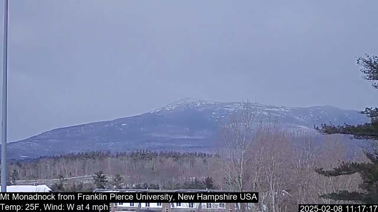 A snow-dusted mountain is visible in the distance, under a hazy sky, with bare trees in the foreground.