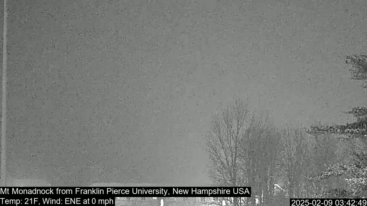 A nighttime, snowy scene shows bare trees and a dark sky.