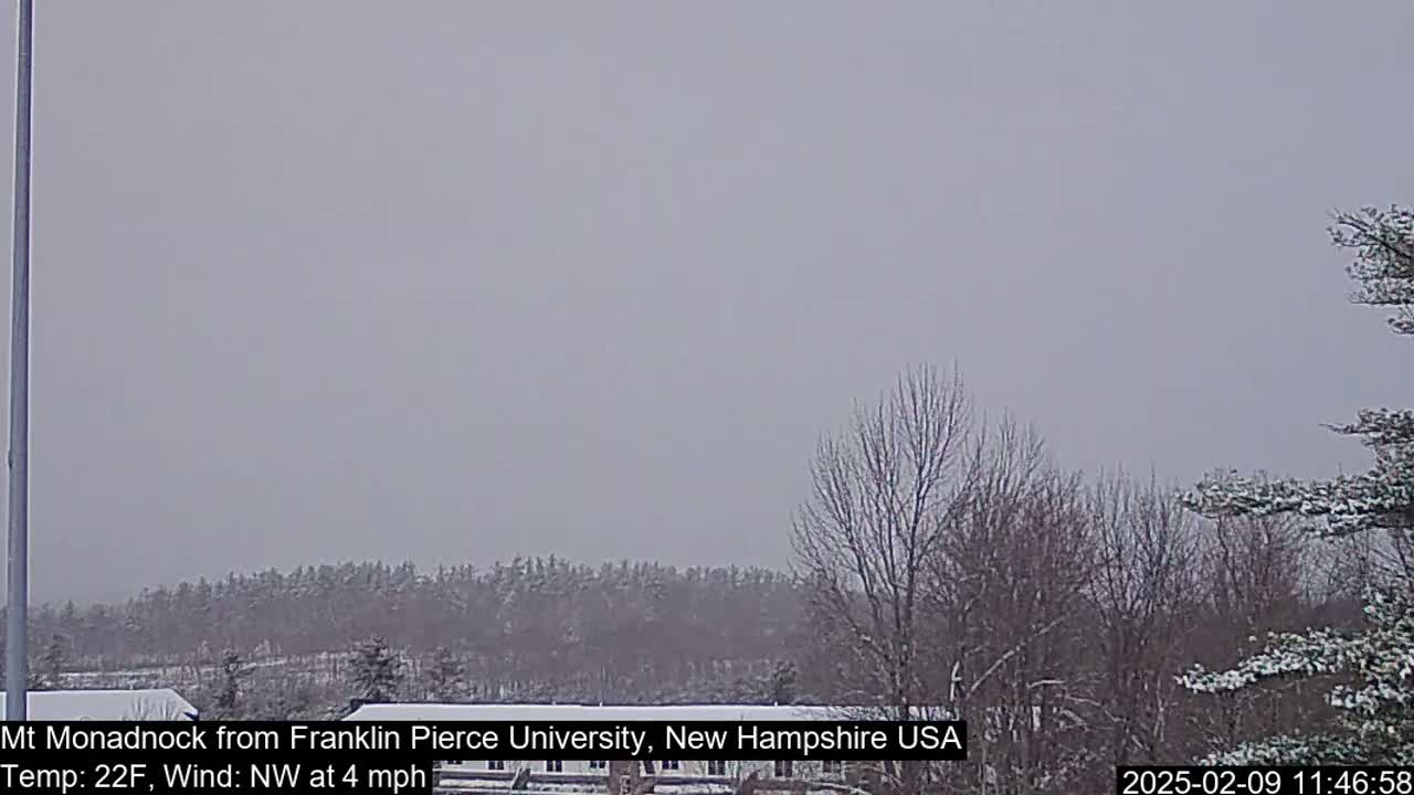 A snow-covered landscape with bare trees and a distant line of evergreens under a gray sky.