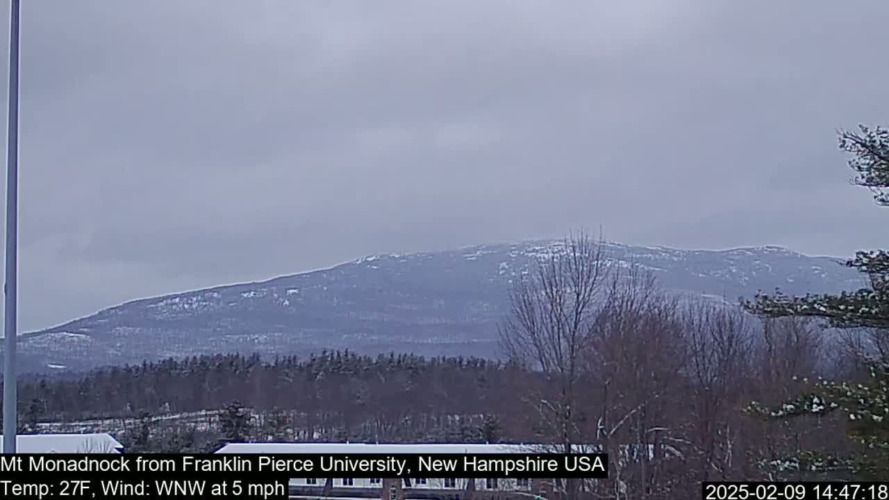 A snow-dusted mountain is visible in the distance under an overcast sky, with bare trees and some snow on the ground in the foreground.
