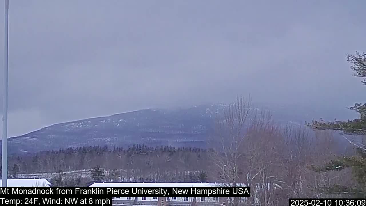 A distant, snow-dusted mountain is visible through a hazy, overcast sky, with bare trees and a light dusting of snow in the foreground.